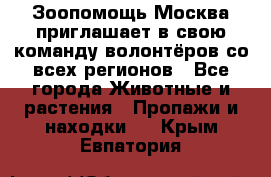 Зоопомощь.Москва приглашает в свою команду волонтёров со всех регионов - Все города Животные и растения » Пропажи и находки   . Крым,Евпатория